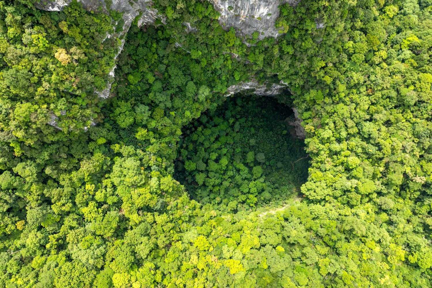 Expertise Son Doong Cave by way of 360-degree video